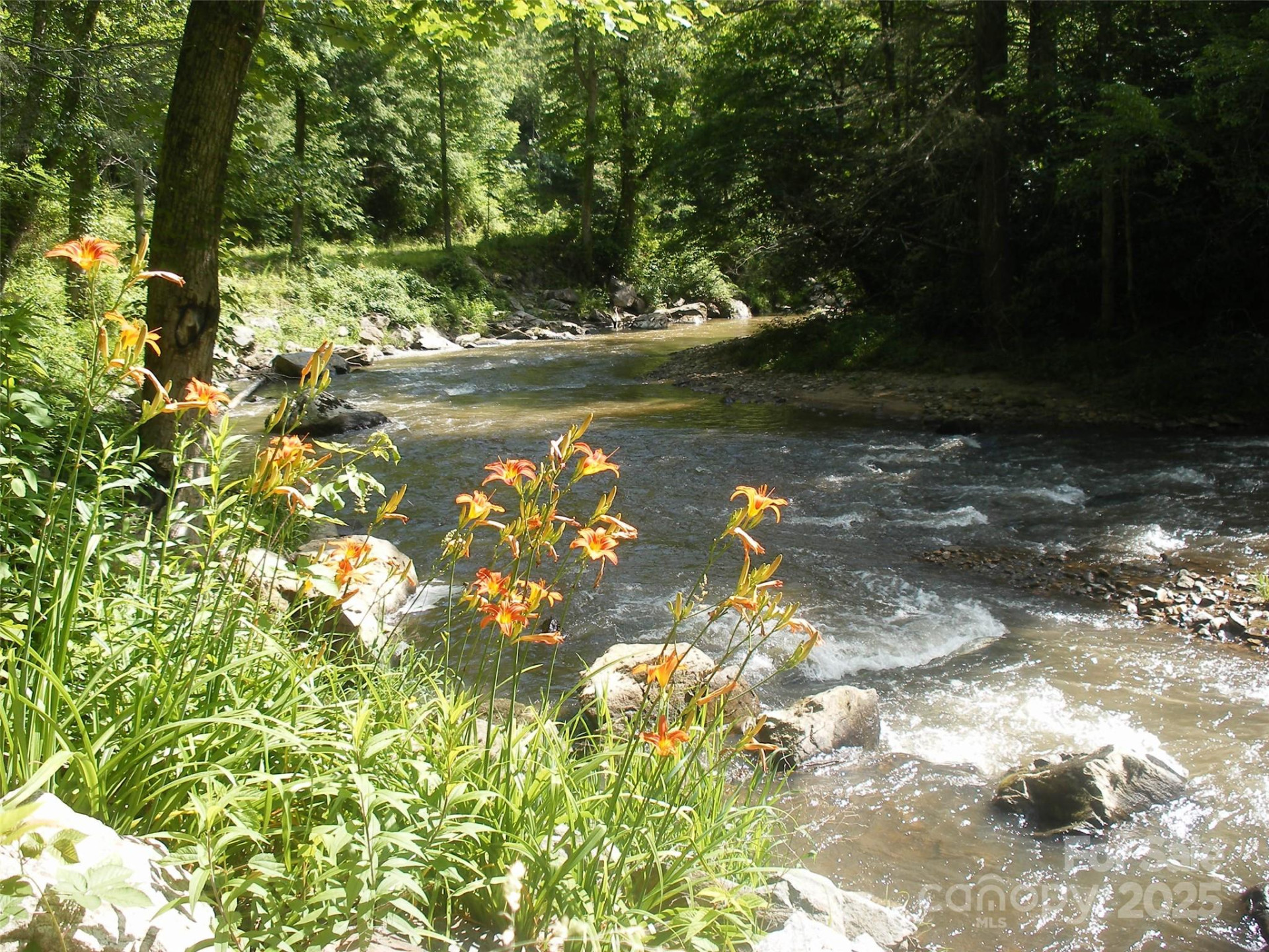 TBD Bear River Lodge Road #123 - Photo 3