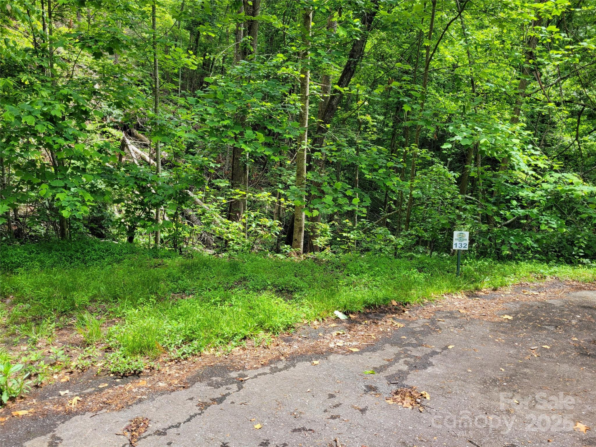 TBD Bear River Lodge Road #123 - Photo 4