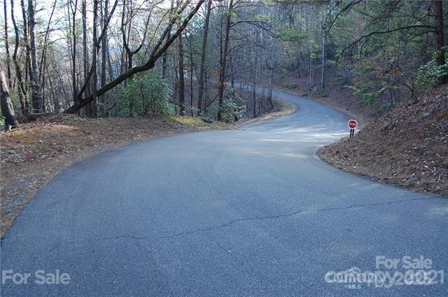 Lot 30 Summit Court #30 - Photo 2