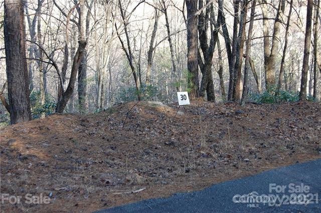 Lot 30 Summit Court #30 - Photo 3