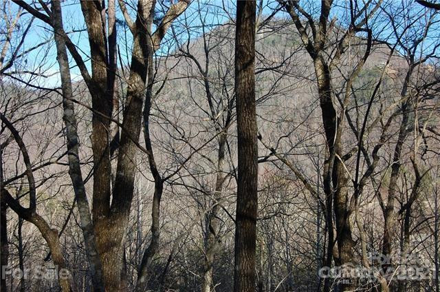 Lot 30 Summit Court #30 - Photo 4