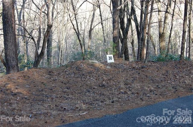 Lot 30 Summit Court #30 - Photo 7