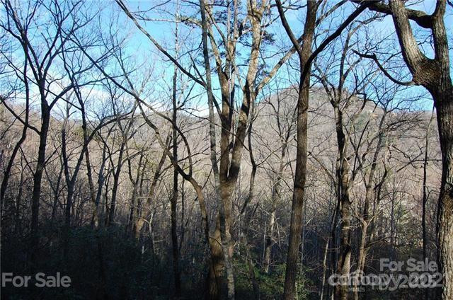 Lot 30 Summit Court #30 - Photo 5