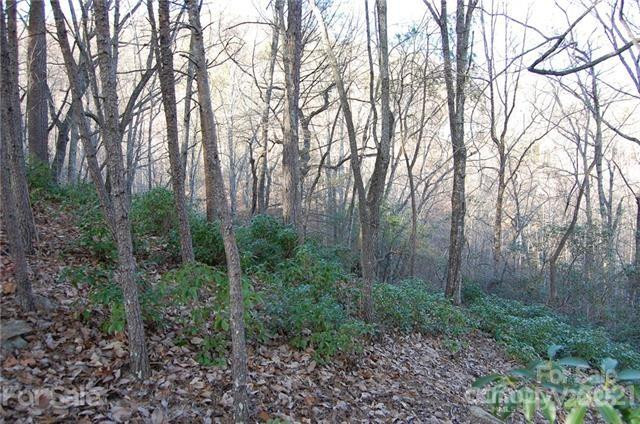 Lot 30 Summit Court #30 - Photo 6