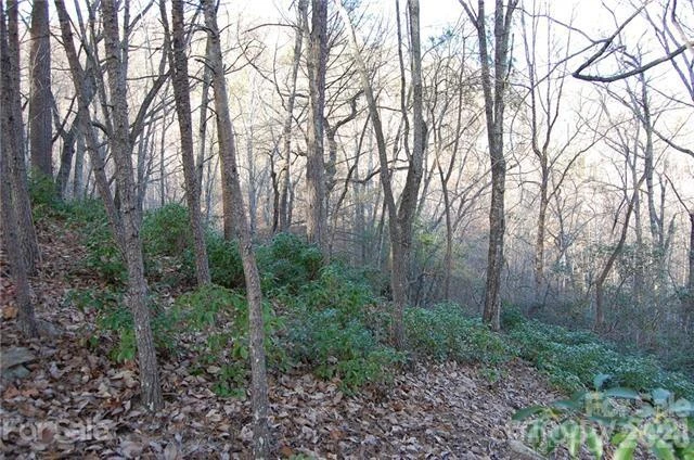 Lot 30 Summit Court #30 - Photo 11