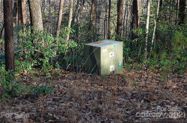 Lot 30 Summit Court #30 - Photo 8