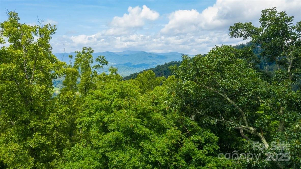 Lot 22 Spring Rock Road - Photo 2