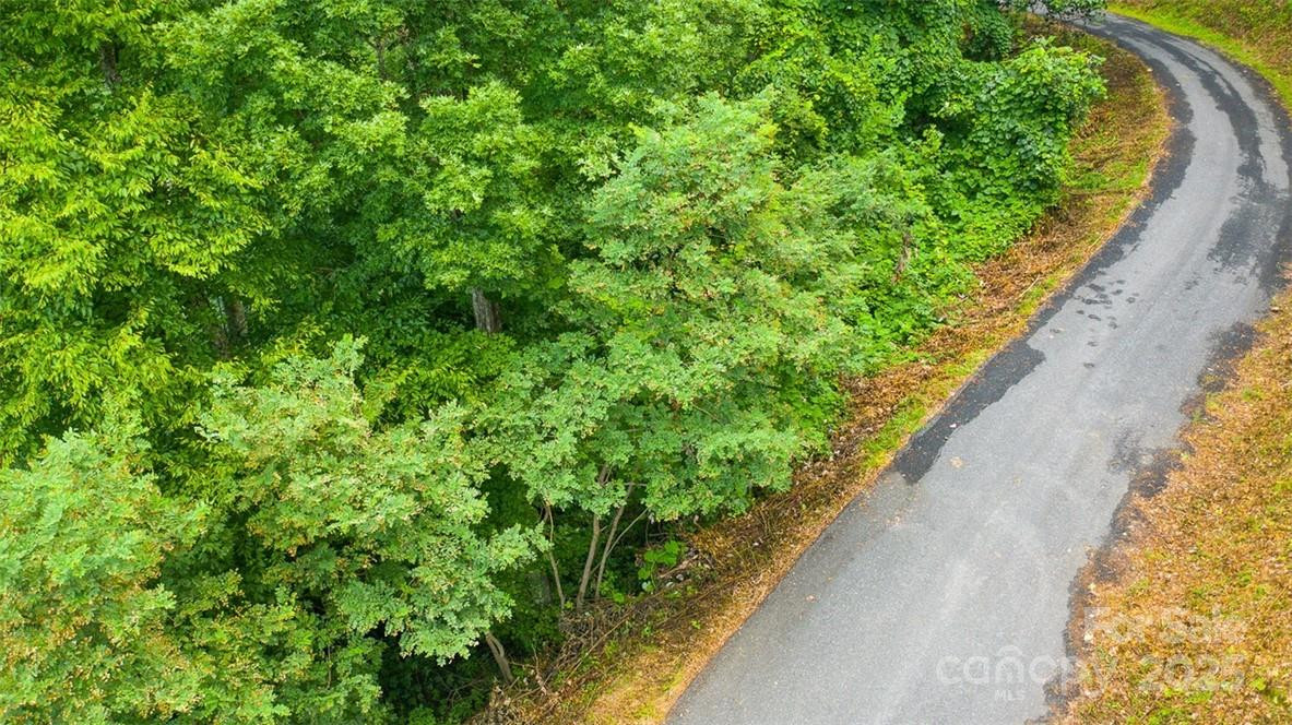 Lot 22 Spring Rock Road - Photo 12