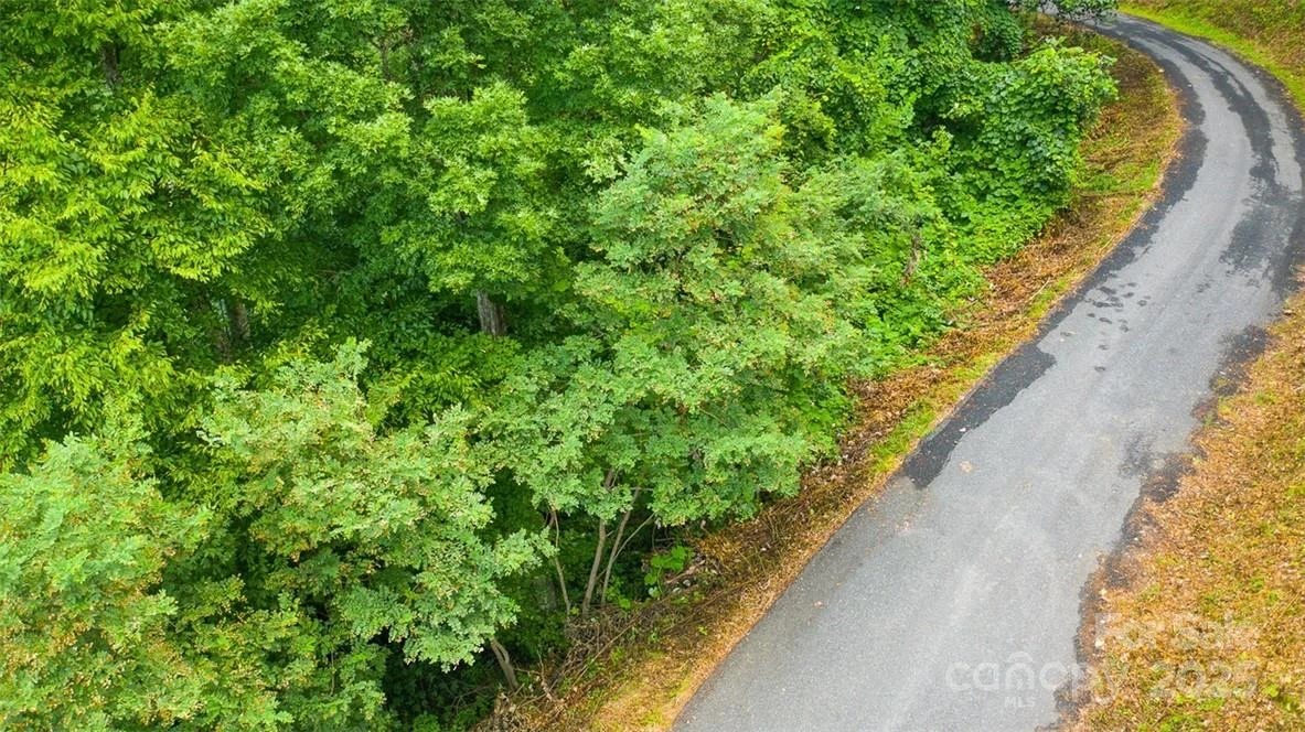 Lot 22 Spring Rock Road - Photo 12