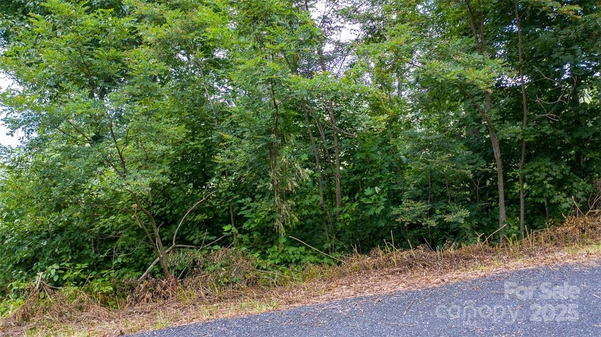 Lot 22 Spring Rock Road - Photo 13