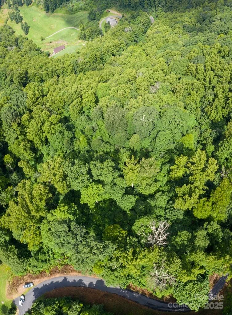 Lot 22 Spring Rock Road - Photo 15