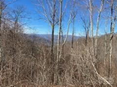 Lot 22 Spring Rock Road - Photo 16