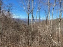 Lot 22 Spring Rock Road - Photo 16