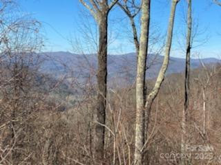 Lot 22 Spring Rock Road - Photo 17