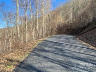 Lot 22 Spring Rock Road - Photo 18