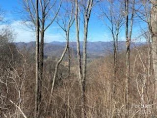 Lot 22 Spring Rock Road - Photo 19