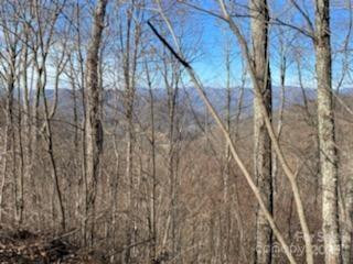 Lot 22 Spring Rock Road - Photo 20
