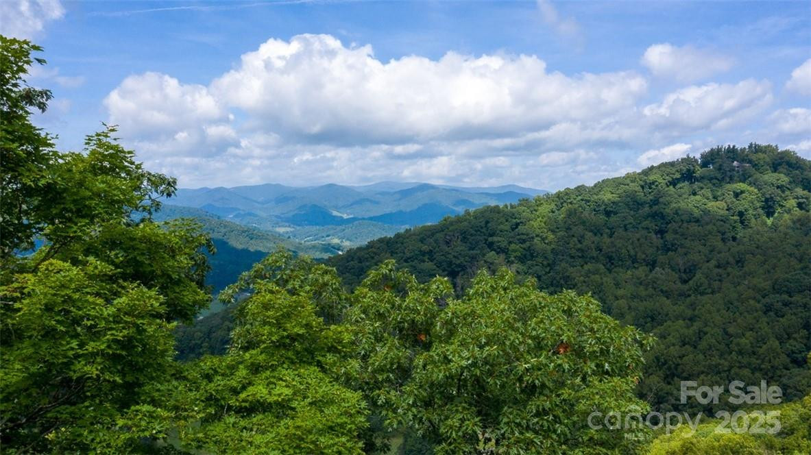 Lot 22 Spring Rock Road - Photo 3