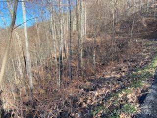 Lot 22 Spring Rock Road - Photo 21