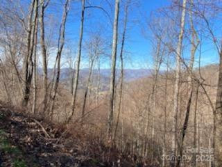 Lot 22 Spring Rock Road - Photo 22