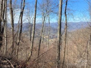 Lot 22 Spring Rock Road - Photo 23