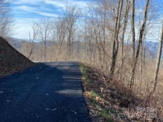 Lot 22 Spring Rock Road - Photo 24