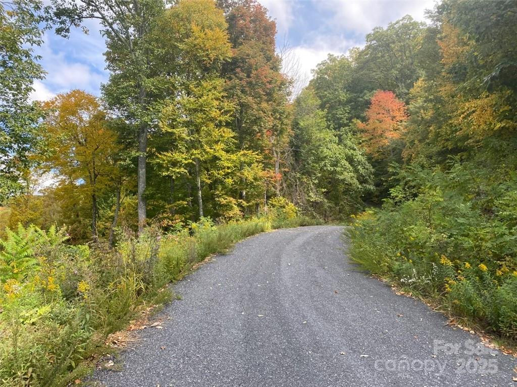 Lot 22 Spring Rock Road - Photo 25