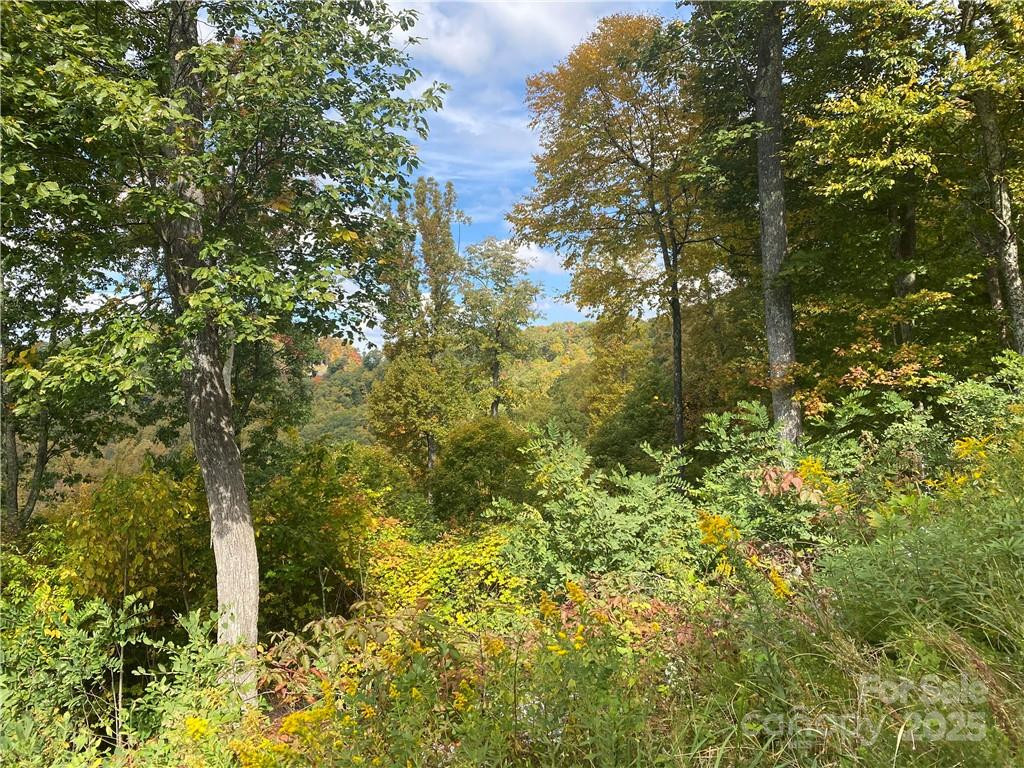 Lot 22 Spring Rock Road - Photo 26