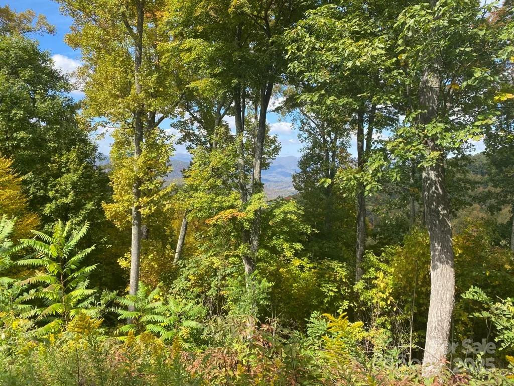 Lot 22 Spring Rock Road - Photo 27