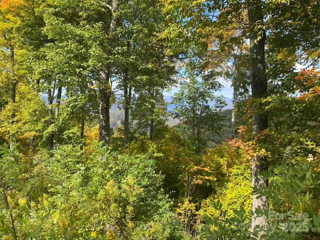 Lot 22 Spring Rock Road - Photo 28