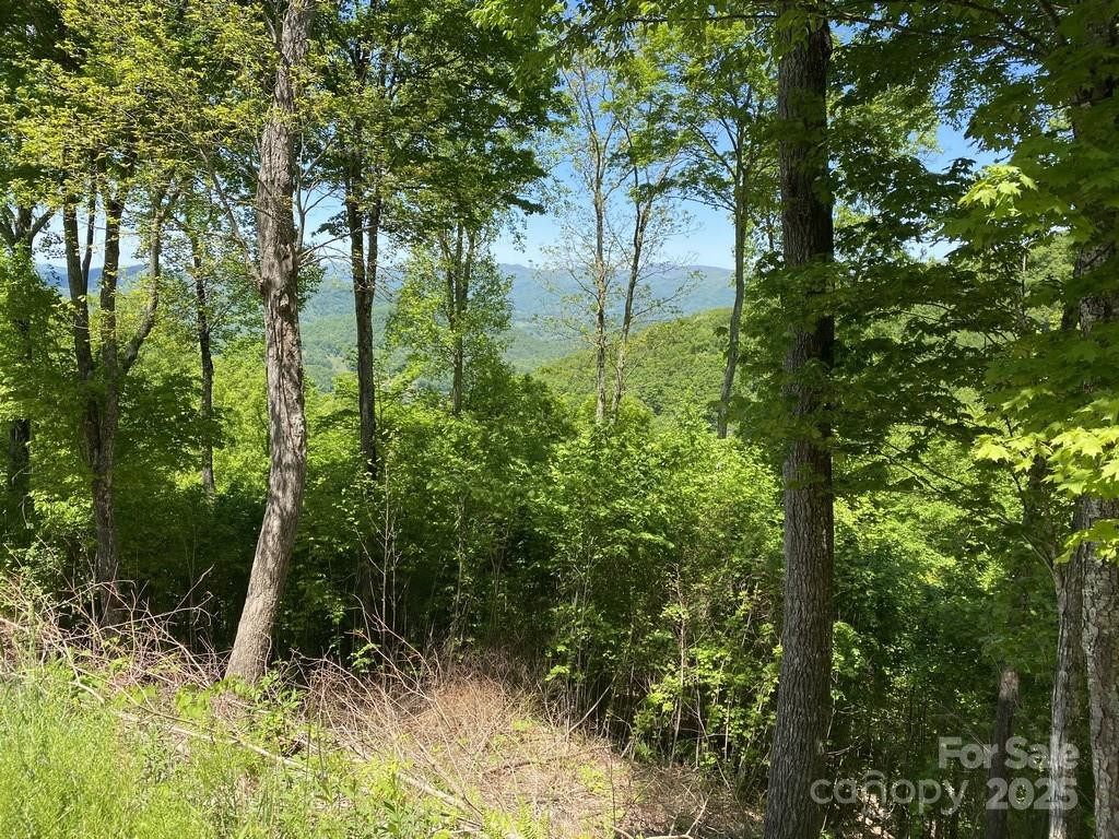 Lot 22 Spring Rock Road - Photo 4