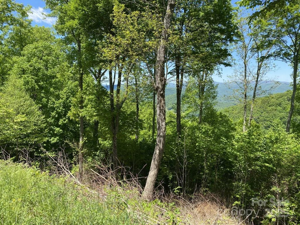 Lot 22 Spring Rock Road - Photo 5