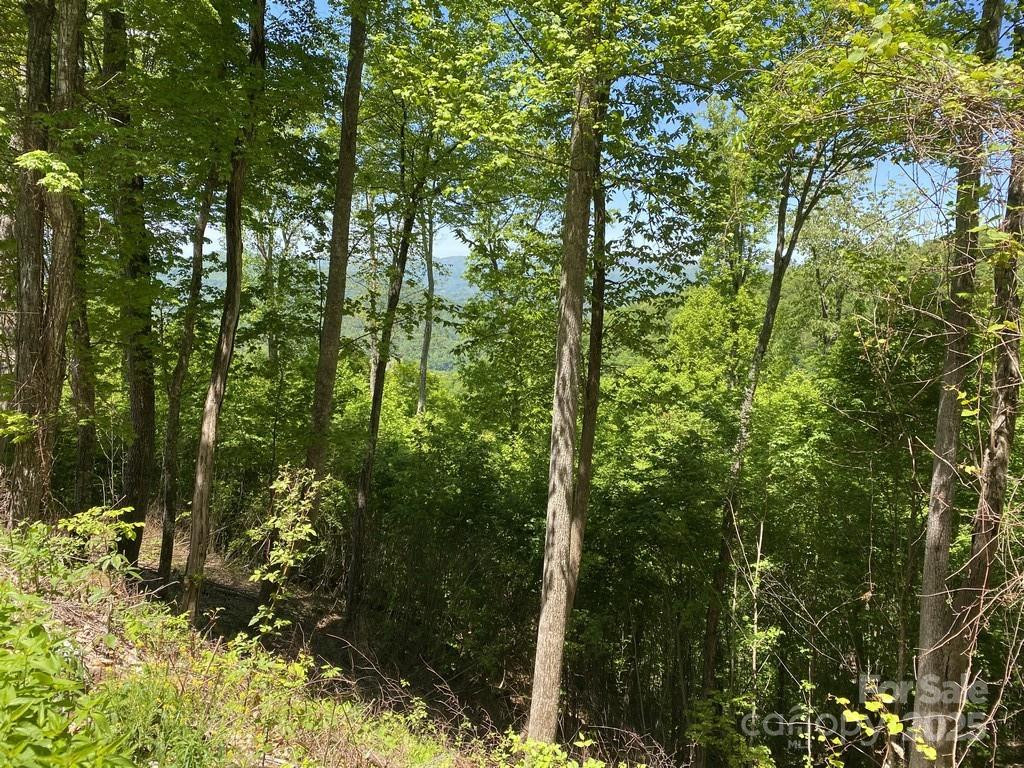 Lot 22 Spring Rock Road - Photo 6