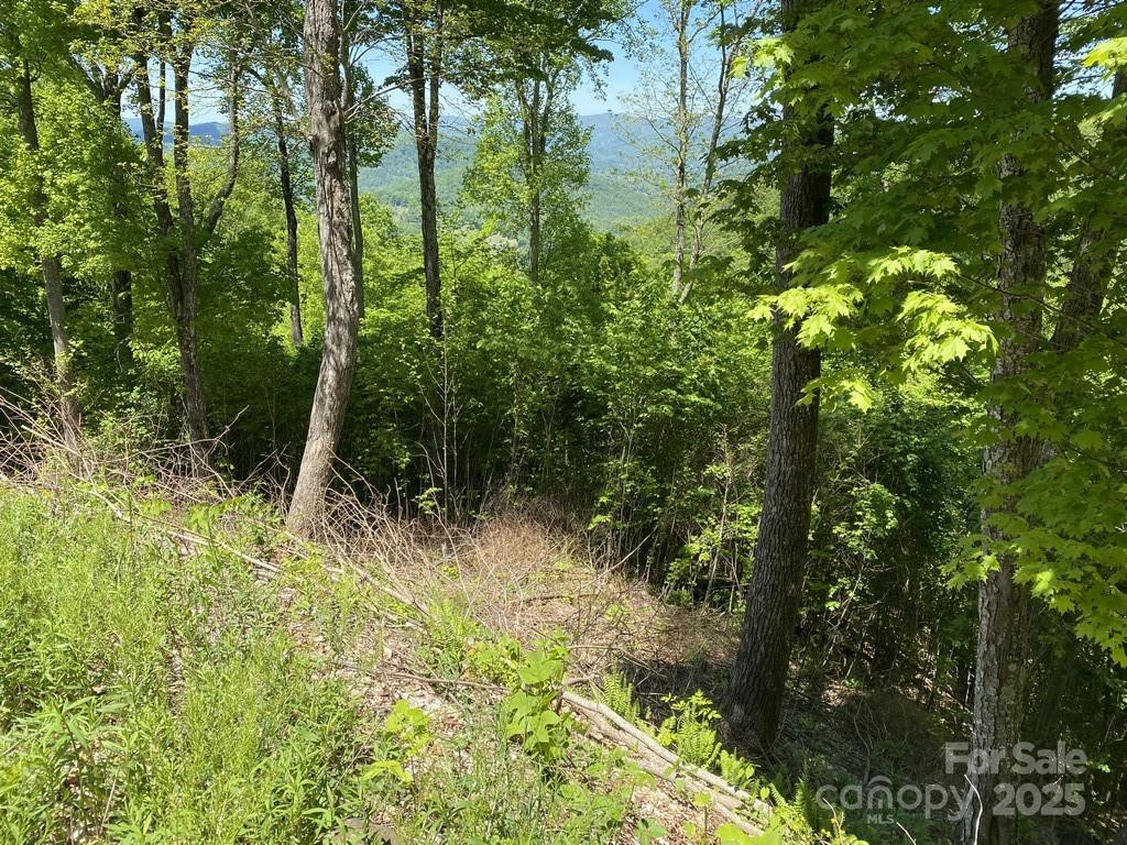 Lot 22 Spring Rock Road - Photo 7