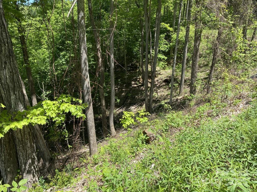 Lot 22 Spring Rock Road - Photo 8