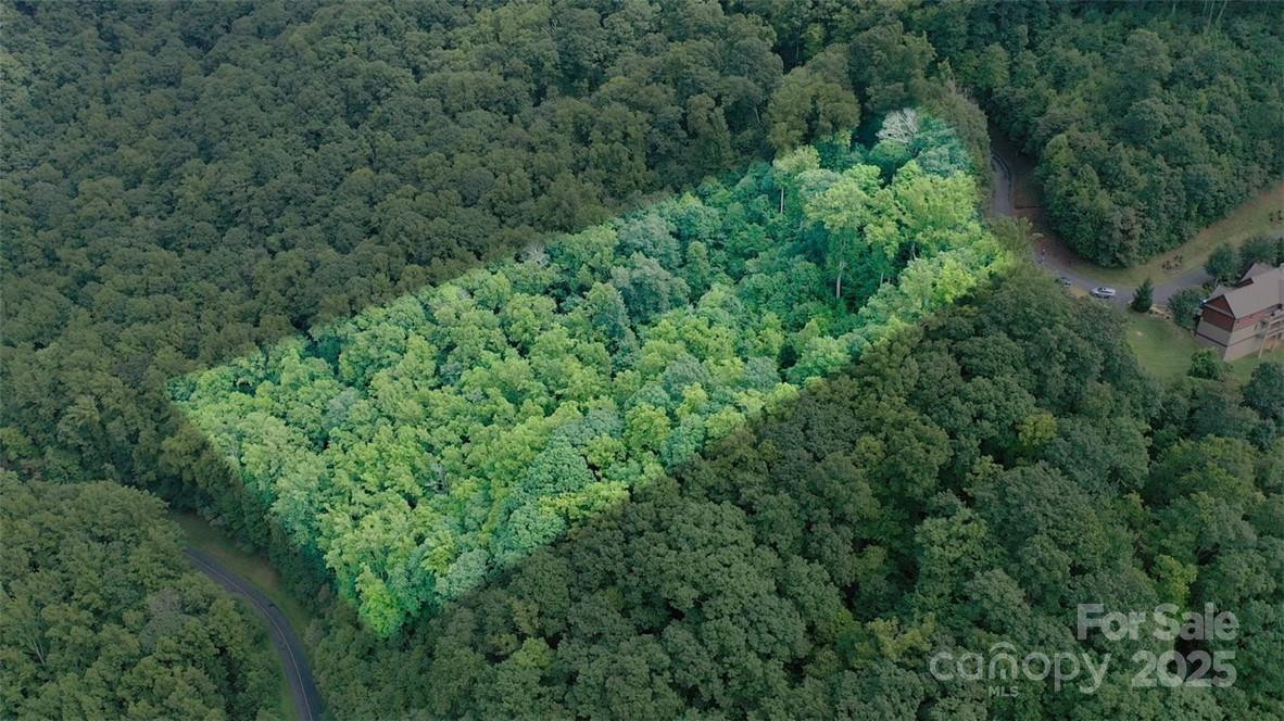 Lot 22 Spring Rock Road - Photo 9