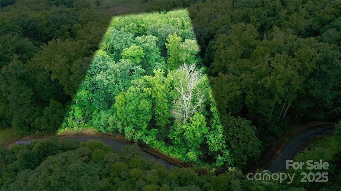 Lot 22 Spring Rock Road - Photo 10