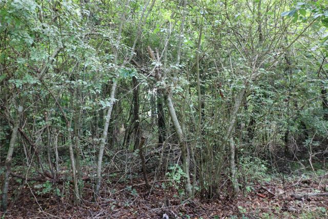 0 Whispering Pines Circle, Forest City, NC, 28043