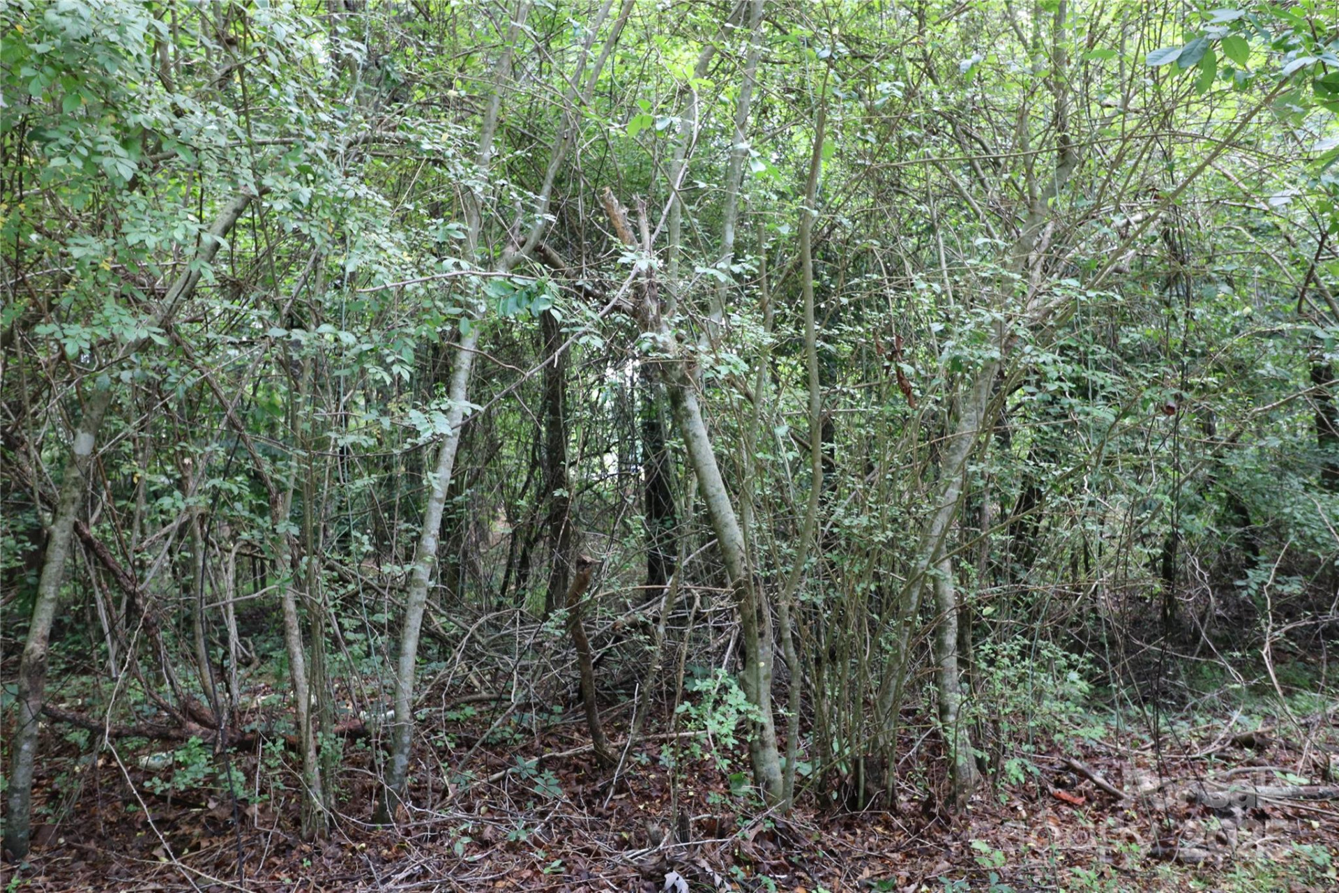 0 Whispering Pines Circle