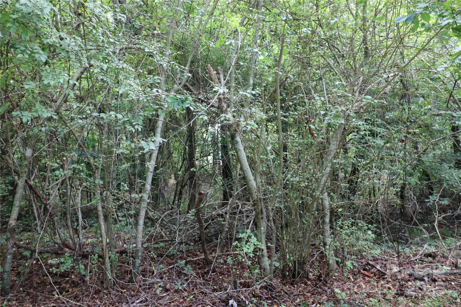 0 Whispering Pines Circle