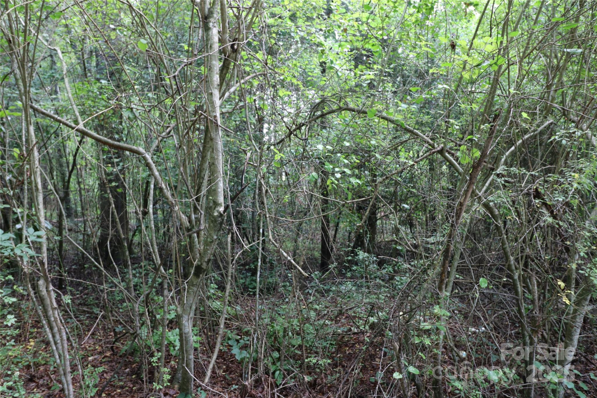 0 Whispering Pines Circle - Photo 2