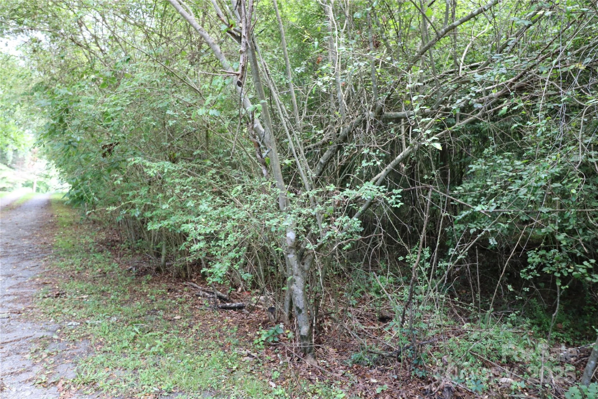 0 Whispering Pines Circle - Photo 3