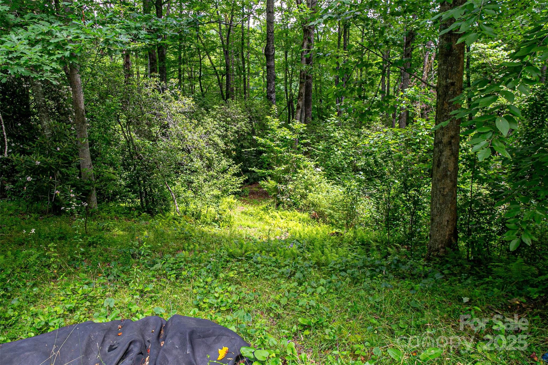 164 Horseplay Lane - Photo 3