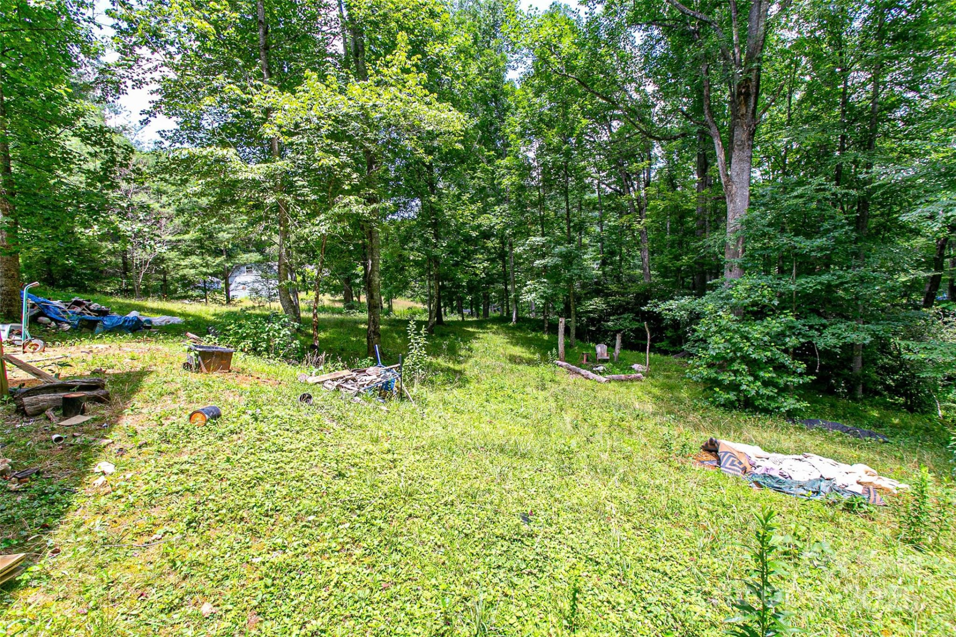 164 Horseplay Lane - Photo 4