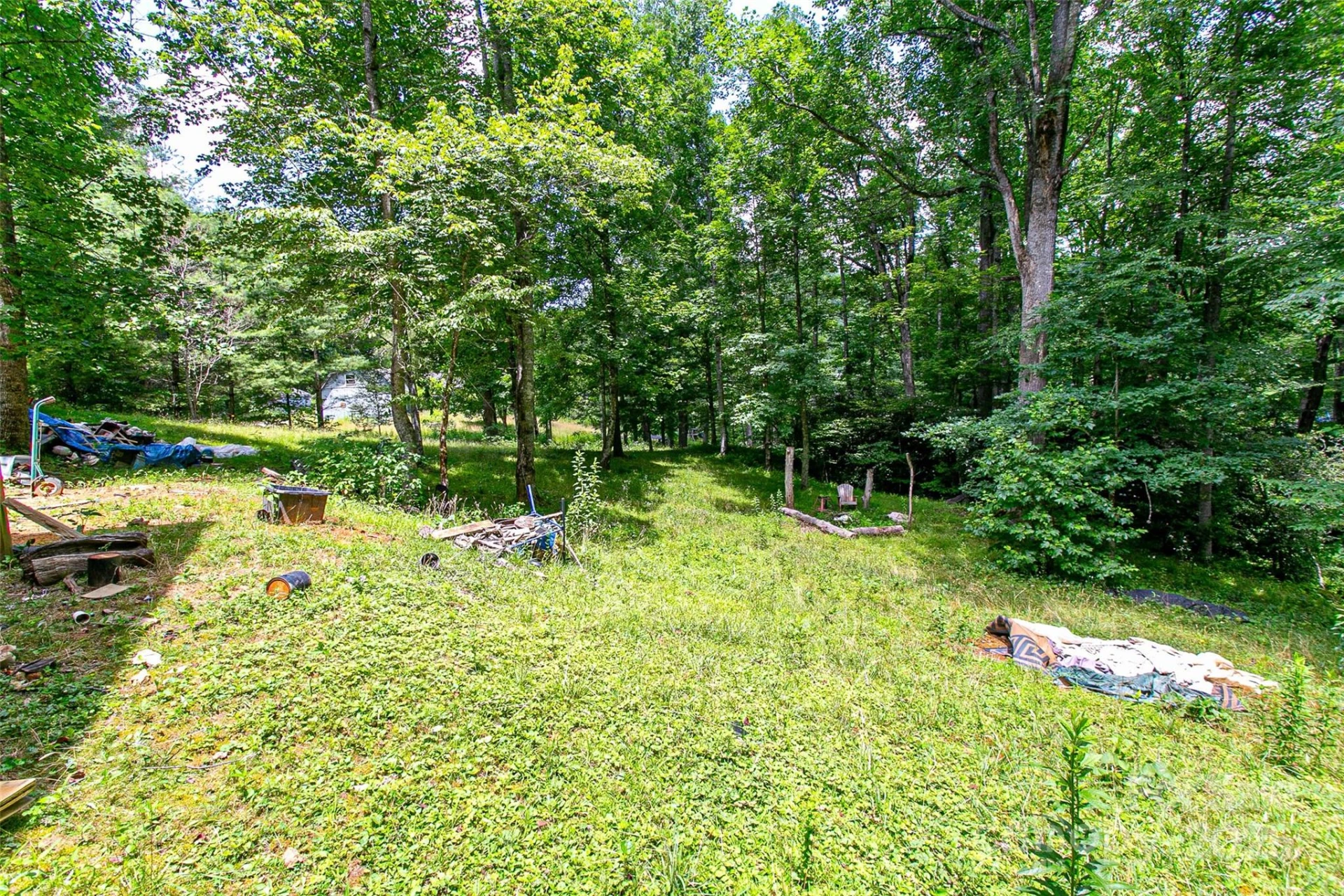 164 Horseplay Lane - Photo 4