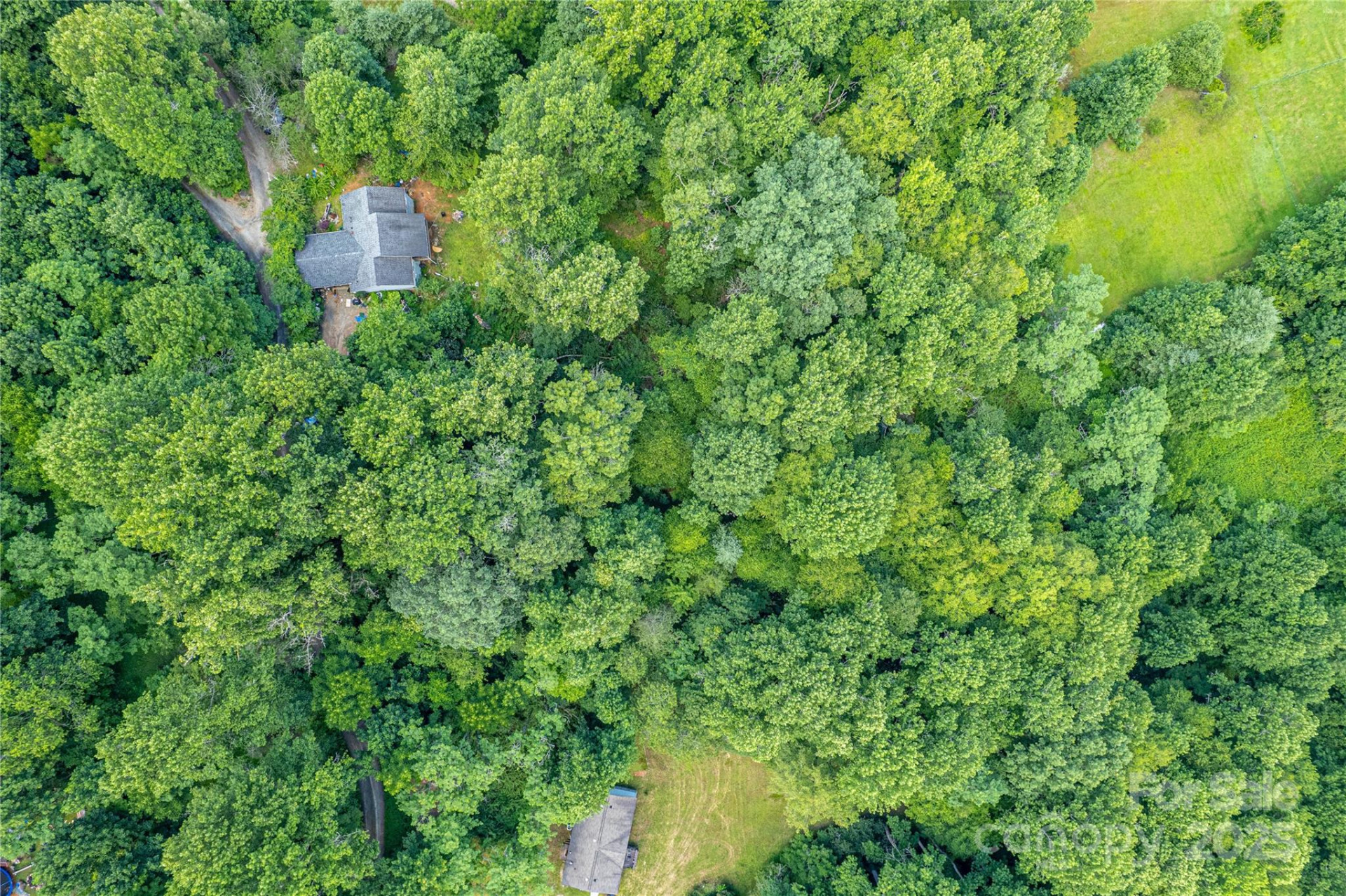 164 Horseplay Lane - Photo 6