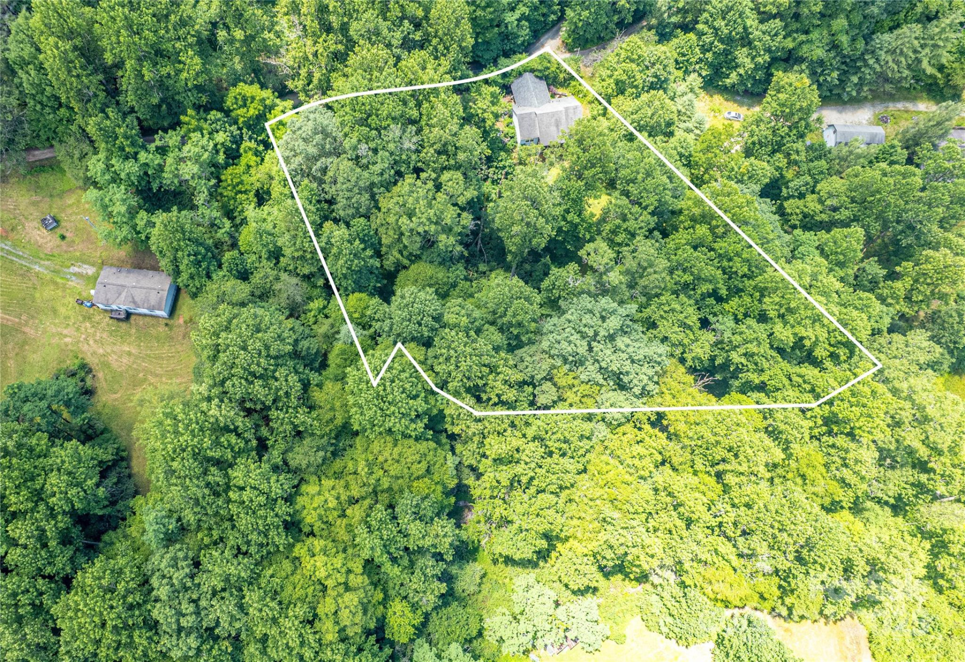 164 Horseplay Lane - Photo 7