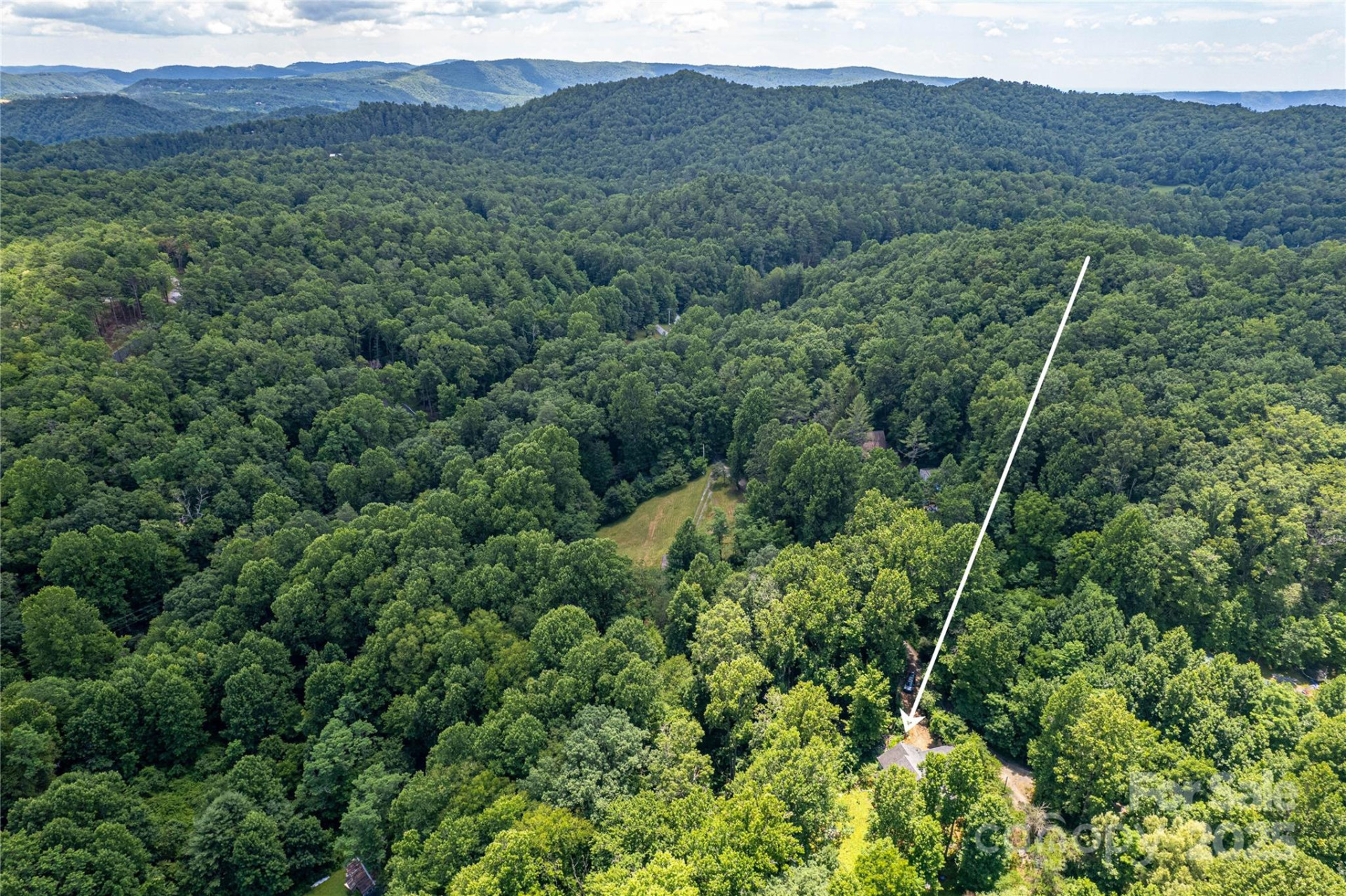 164 Horseplay Lane - Photo 8