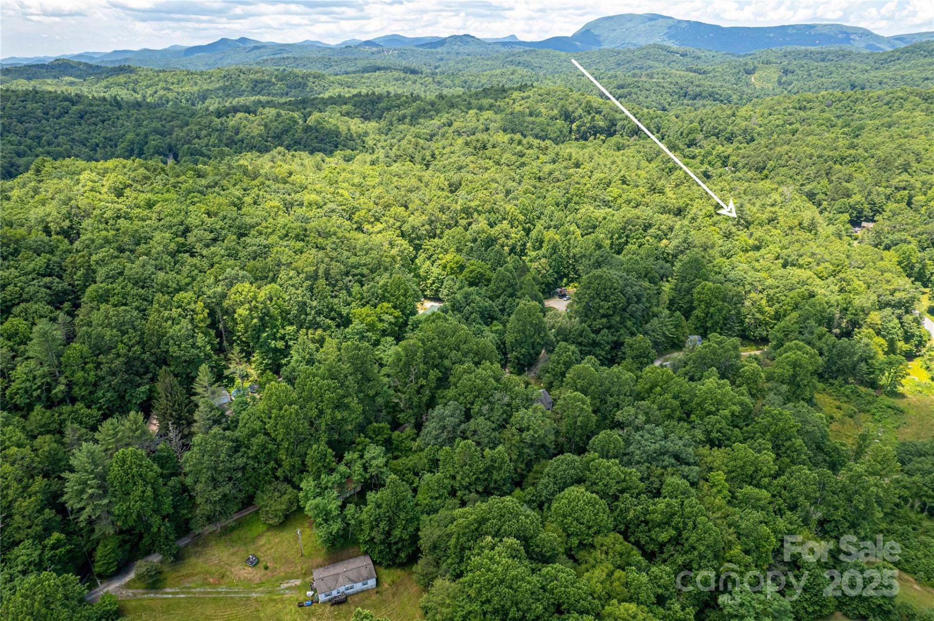 164 Horseplay Lane - Photo 9