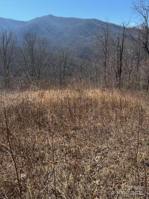 TBD Sorrells Creek Road - Photo 2